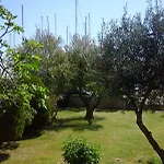 Benjamin * روغوزنيكا