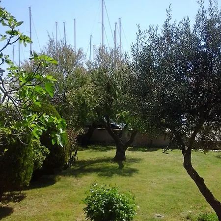 Benjamin * Rogoznica (Sibenik-Knin)